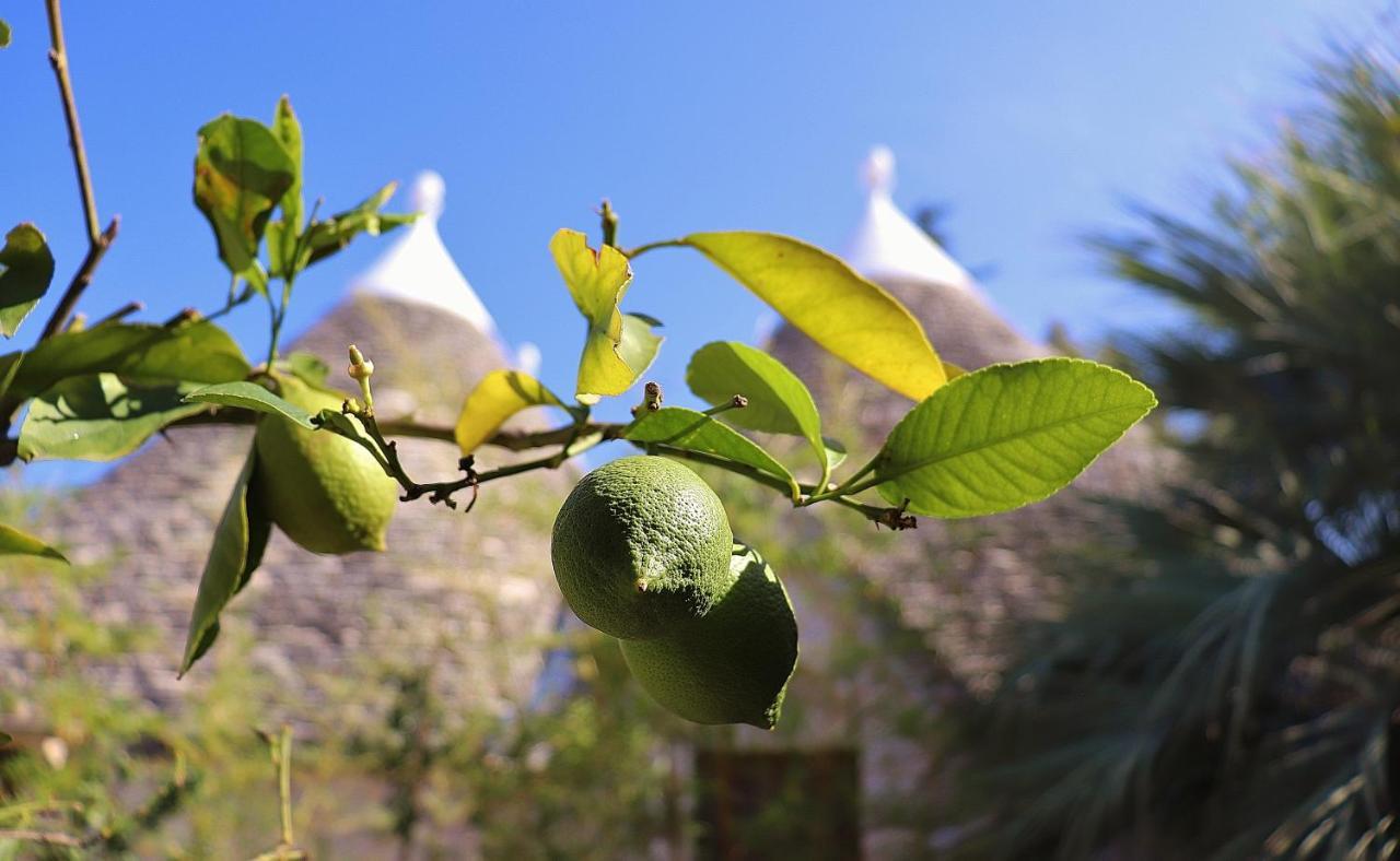 Trulli And Nature Antonelli Εξωτερικό φωτογραφία