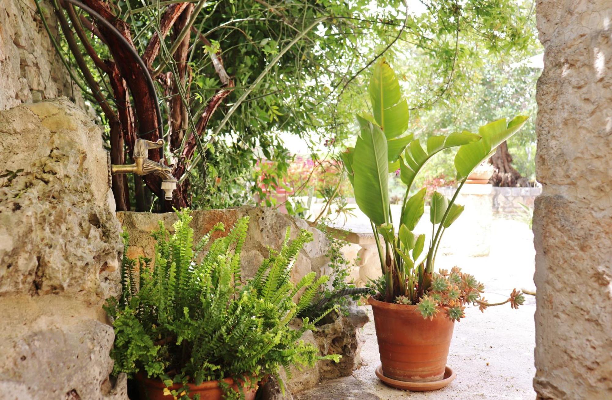 Trulli And Nature Antonelli Δωμάτιο φωτογραφία